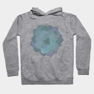 Echeveria plant Hoodie